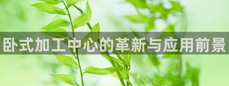 星欧娱乐的官方网站