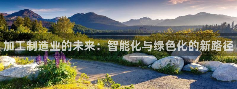 星欧娱乐的创始人背景
