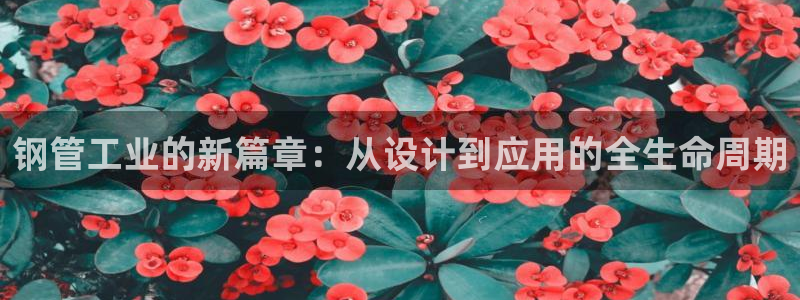 星欧娱乐银行卡怎么登录