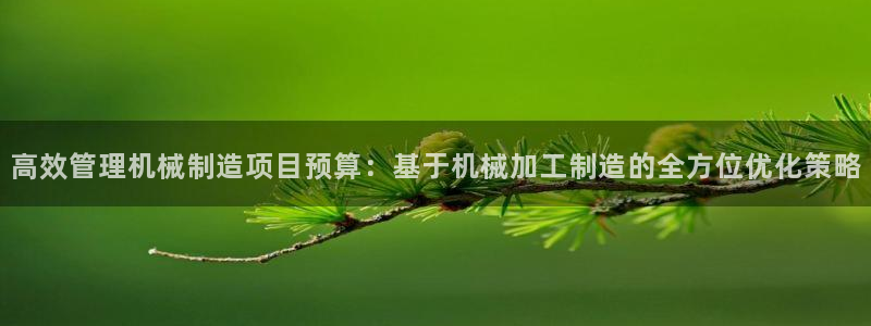 星欧娱乐的官方网站