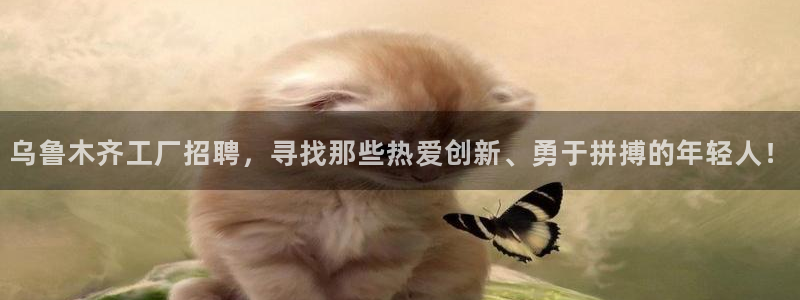 欧星娱乐电竞