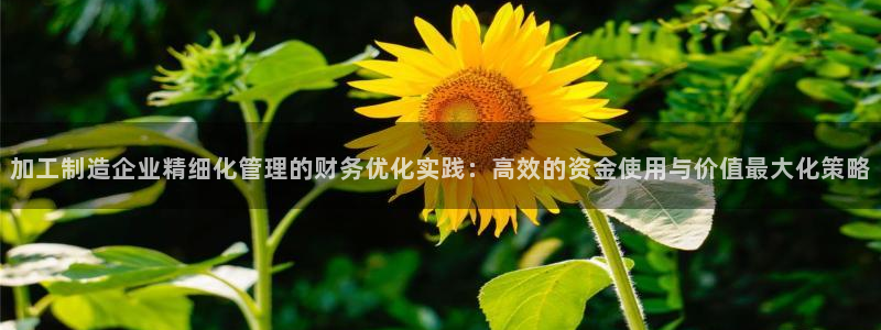 星欧娱乐官网在线登录入口