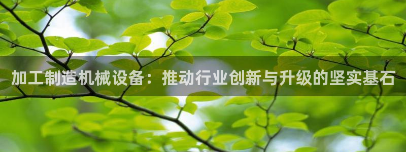 星欧娱乐最新动态消息