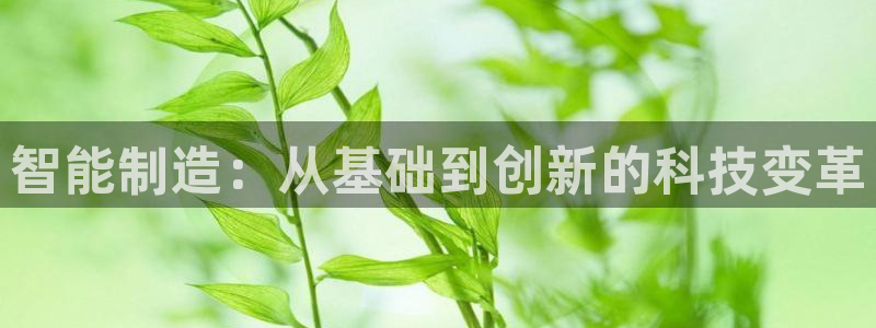 武汉欧汇星娱乐有限公司
