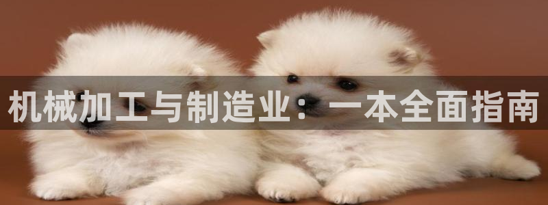 星欧娱乐经纪公司简介
