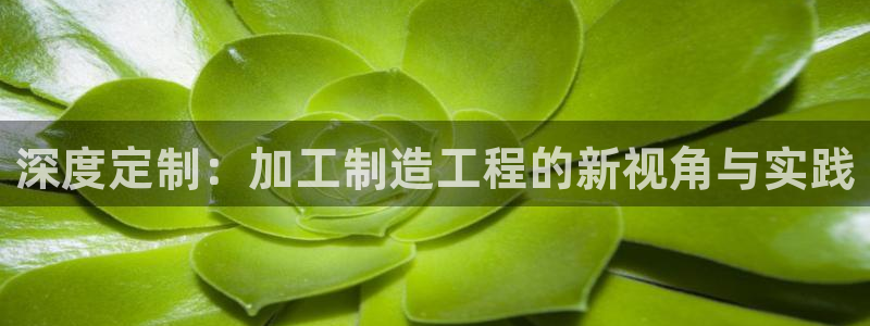 欧星开户娱乐