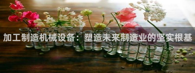 星欧娱乐是正规品牌吗