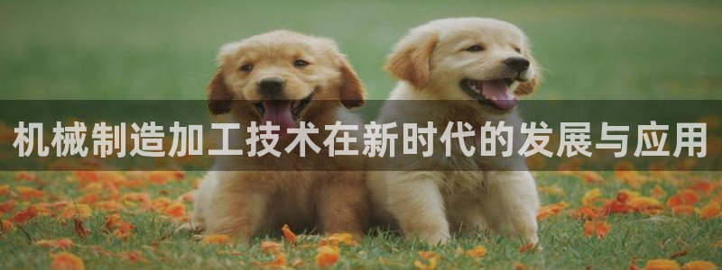 星欧娱乐赞7O777