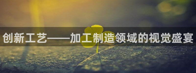 金欧岗星熠娱乐