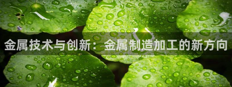 星欧娱乐最新版下载链接