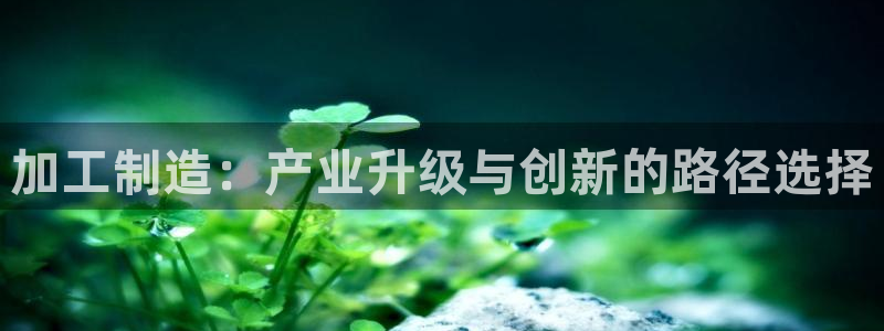 星欧娱乐登录注册