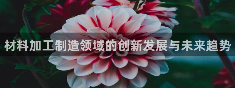 七星娱乐欧尼酱