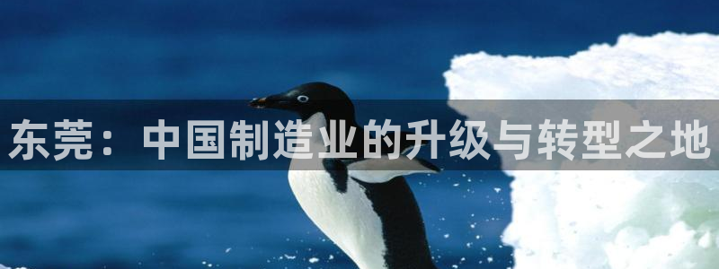 欧星娱乐的真实性