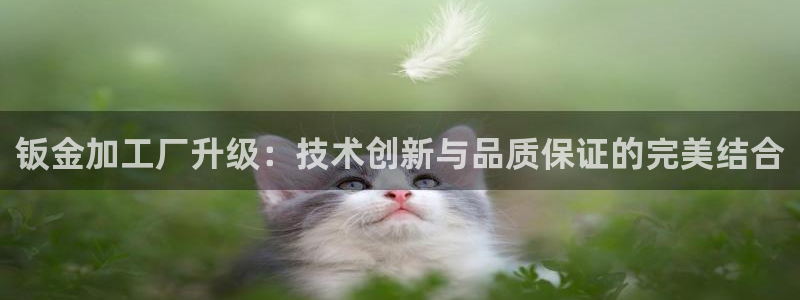 欧汇星娱乐