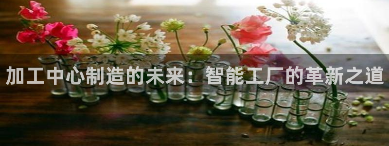 星欧娱乐扣费详情详解
