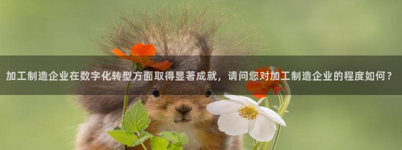 星欧娱乐公司电话号码