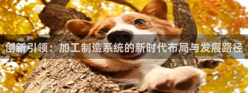 欧联杯正赛星辉娱乐