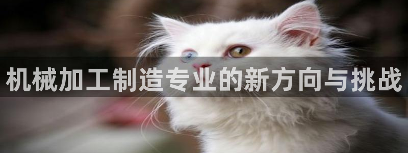 欧星娱乐备用网址