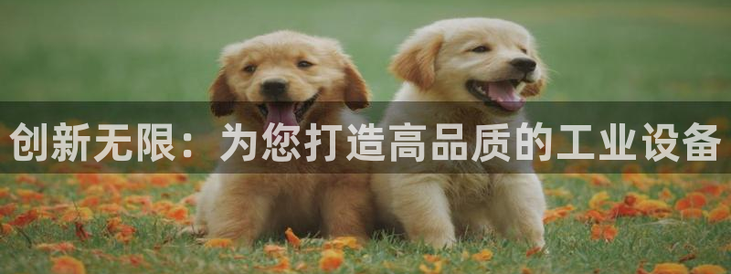 星欧娱乐平台主管