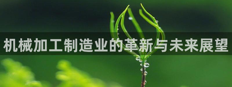 星欧娱乐平台官网入口