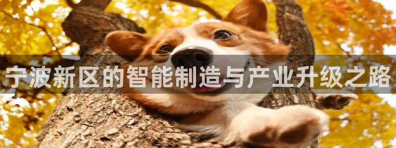 星欧娱乐文化无锡