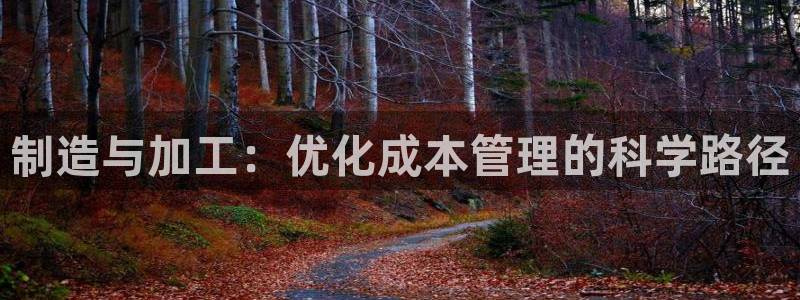 星欧娱乐扣费处理方法