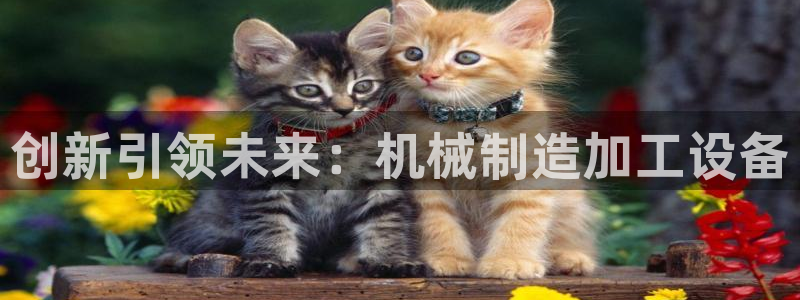 欧星娱乐是做什么的