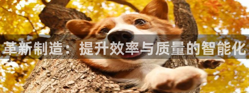 欧星娱乐是做什么的