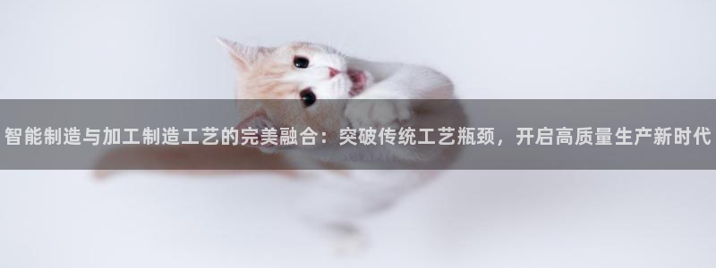 欧星娱乐彩票去