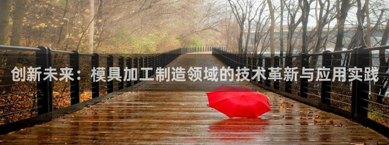 星饭娱乐欧豪