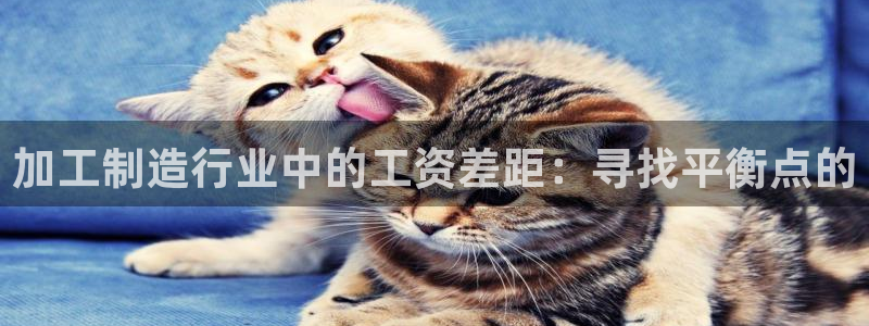 欧星娱乐网站