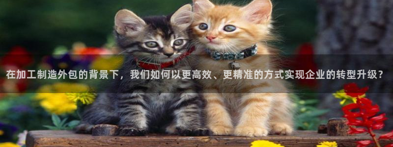星欧娱乐登录