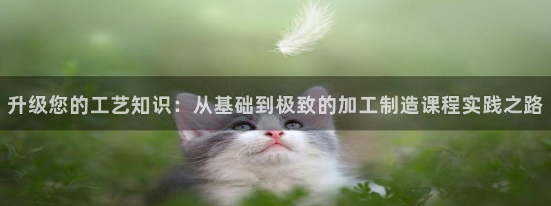 欧星娱乐棋牌