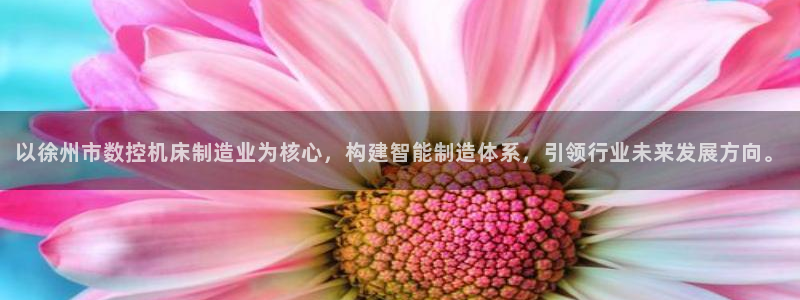 星欧娱乐最建议买吗