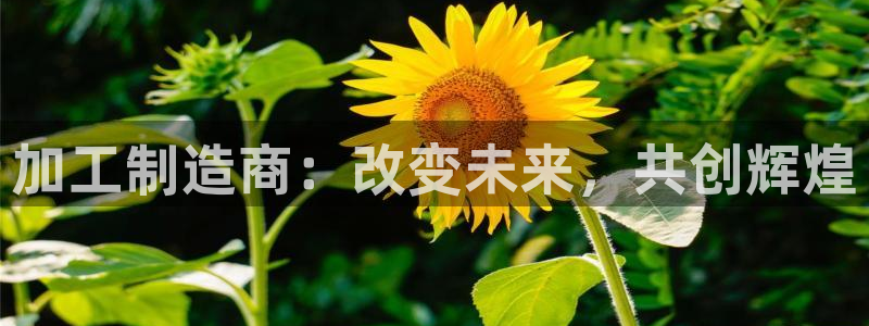 欧星娱乐平台是黑的吗?