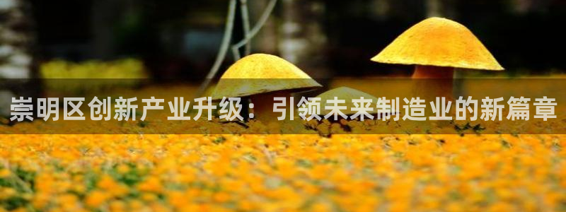 星欧娱乐用户登录中心