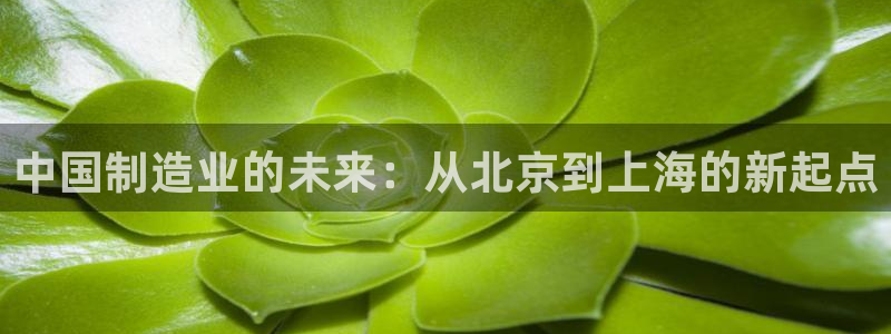 欧米星创文化娱乐