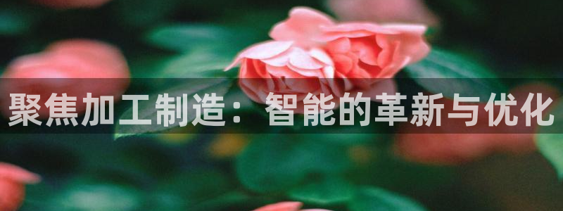 欧赫娱乐 超级星学院