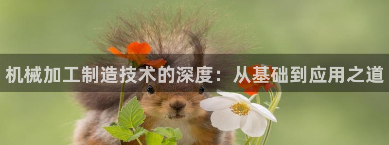 星欧娱乐平台怎么样