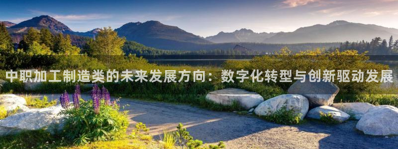 星欧娱乐最建议买吗