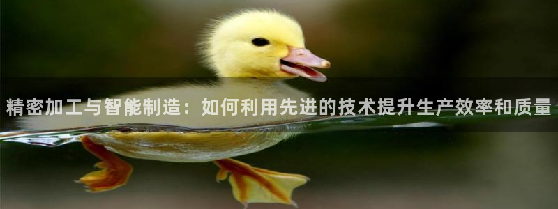 星欧平台娱乐注册的方式