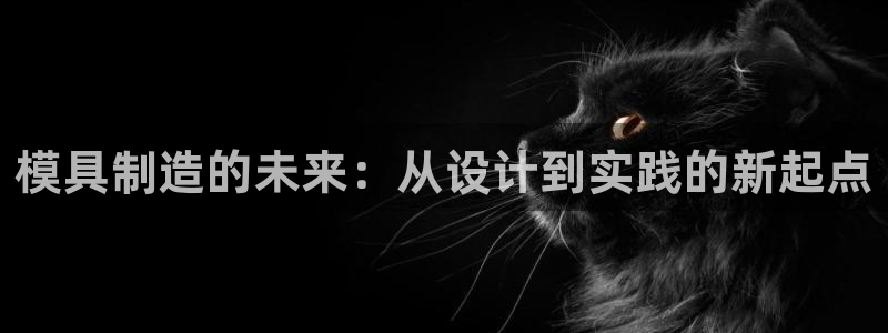 欧豪娱乐星天地采访